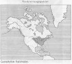 Karte 083. Caulophyllum thalictroides.